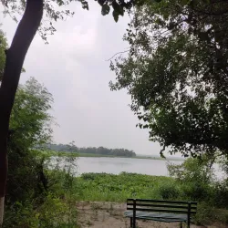 Okhla Bird Sanctuary - Noida