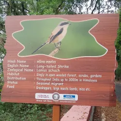 Okhla Bird Sanctuary - Noida