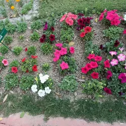 Shaheed Smarak - Noida