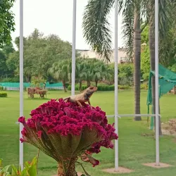 Shaheed Smarak - Noida