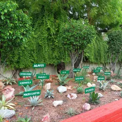 Shaheed Smarak - Noida