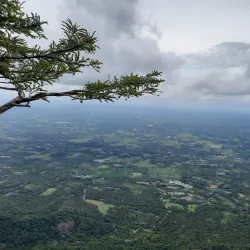 Nelliyampathy Hills - Palakkad