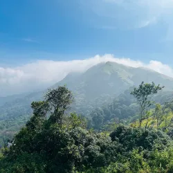 Nelliyampathy Hills - Palakkad