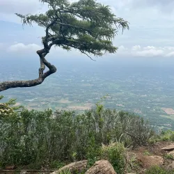 Nelliyampathy Hills - Palakkad