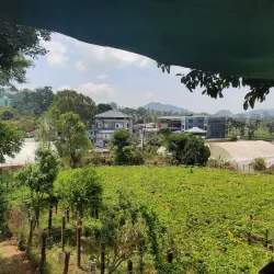 Nelliyampathy Hills - Palakkad
