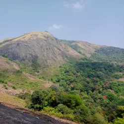 Nelliyampathy Hills - Palakkad