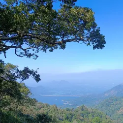 Nelliyampathy Hills - Palakkad