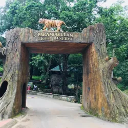 Parambikulam Wildlife Sanctuary - Palakkad
