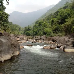 Silent Valley National Park - Palakkad