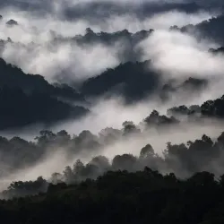 Silent Valley National Park - Palakkad