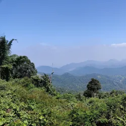 Palani Hills - Palani