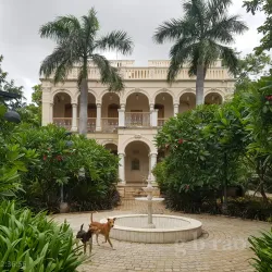 Banaskantha Museum - Palanpur
