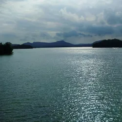 Bhadrachalam Wildlife Sanctuary - Paloncha