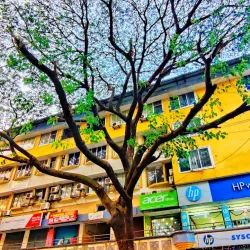 Panaji Market - Panaji