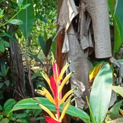 Sahakari Spice Farm - Panaji