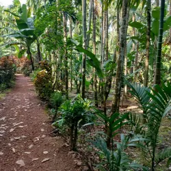 Sahakari Spice Farm - Panaji