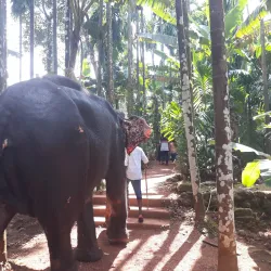 Sahakari Spice Farm - Panaji