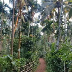 Sahakari Spice Farm - Panaji