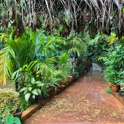 Sahakari Spice Farm - Panaji