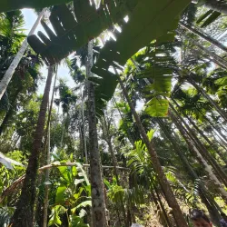 Sahakari Spice Farm - Panaji
