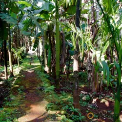 Sahakari Spice Farm - Panaji