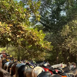 Matheran Hill Station - Panvel