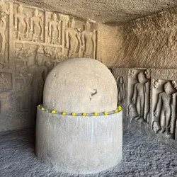 Sanjay Gandhi National Park (near Panvel) - Panvel