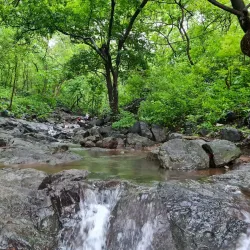 Tungareshwar Wildlife Sanctuary - Panvel