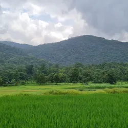 Tungareshwar Wildlife Sanctuary - Panvel