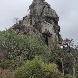 Tungareshwar Wildlife Sanctuary - Panvel