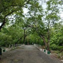 Tungareshwar Wildlife Sanctuary - Panvel