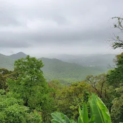 Tungareshwar Wildlife Sanctuary - Panvel