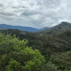 Chittar Wildlife Sanctuary - Pathanamthitta