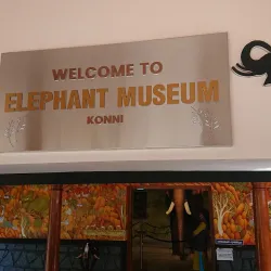 Konni Elephant Training Centre - Pathanamthitta