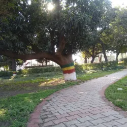 Baradari Gardens Fountain - Patiala