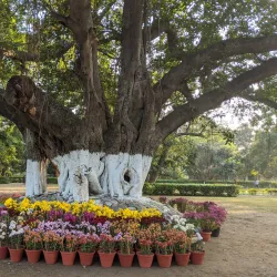 Baradari Gardens - Patiala