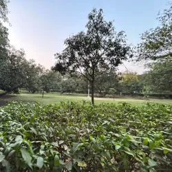 Baradari Gardens - Patiala