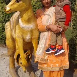 Nabha Palace - Patiala