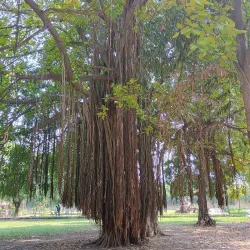 Kumhrar Park - Patna