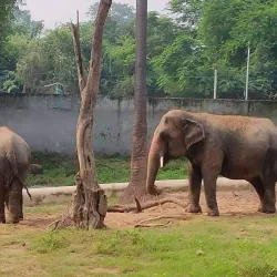 Sanjay Gandhi Biological Park (Patna Zoo) - Patna