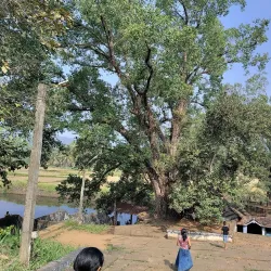Angadipuram Temple - Perinthalmanna