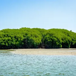 Kadalundi Bird Sanctuary - Perinthalmanna
