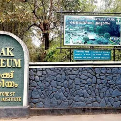 Nilambur Teak Museum - Perinthalmanna