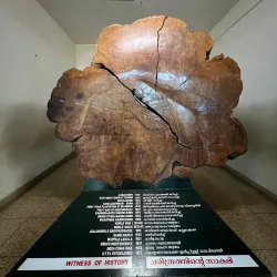Nilambur Teak Museum - Perinthalmanna