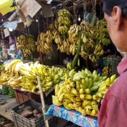 Perinthalmanna Market - Perinthalmanna