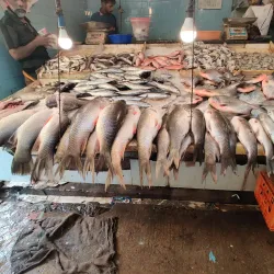 Perinthalmanna Market - Perinthalmanna