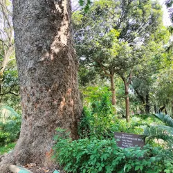 Botanical Garden - Pondicherry