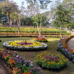 Botanical Garden - Pondicherry