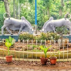 Botanical Garden - Pondicherry