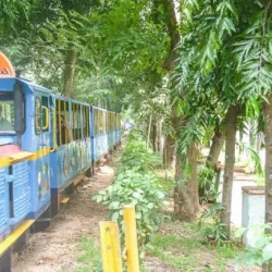Botanical Garden - Pondicherry